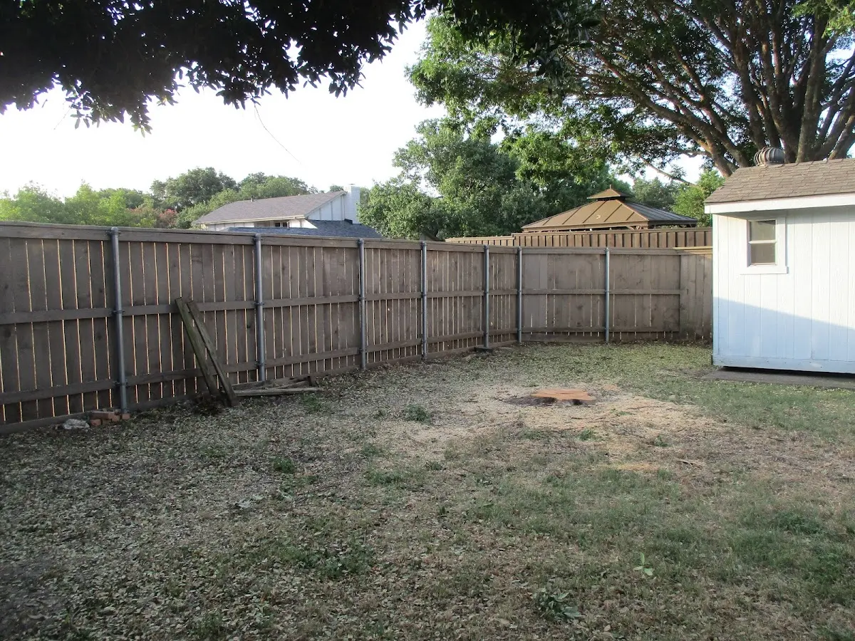 Cleared yard after professional tree removal in Fredericksburg